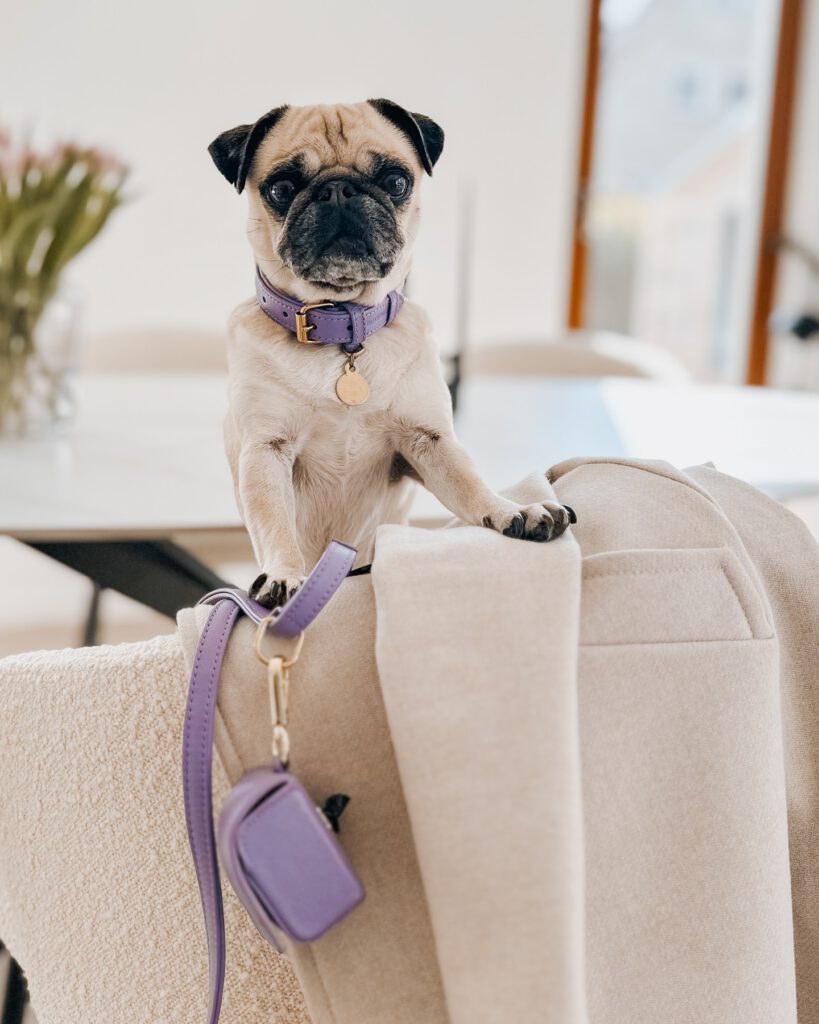 82adc173 8c5d 483f 8edb 1e0bbadb7105